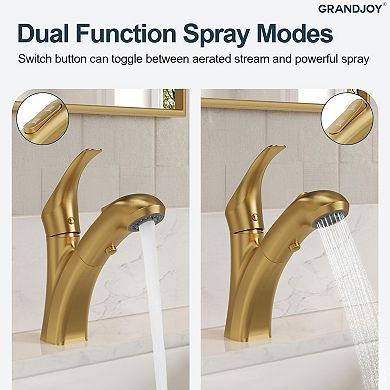 2-Spray Single-Handle Single-Hole Pull Out Sprayer Bathroom Sink Faucet with Drain Included