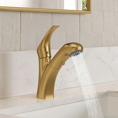 2-Spray Single-Handle Single-Hole Pull Out Sprayer Bathroom Sink Faucet with Drain Included