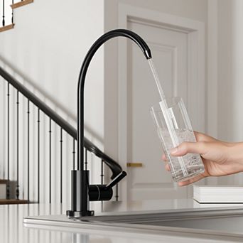 Single Handle Drinking Water Faucet Kitchen Filtered Water Faucet Beverage RO Faucet Stainless Steel