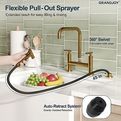 GRANDJOY 2-Handle Deck Mount 8-In Kitchen Faucet 2-Hole Bridge Kitchen Sink Faucet with Side Sprayer