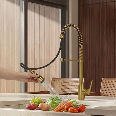 23.7 in. H 2-Spray 360° Spout Swivel Single-​Handle Pull Down Sprayer Kitchen Faucet
