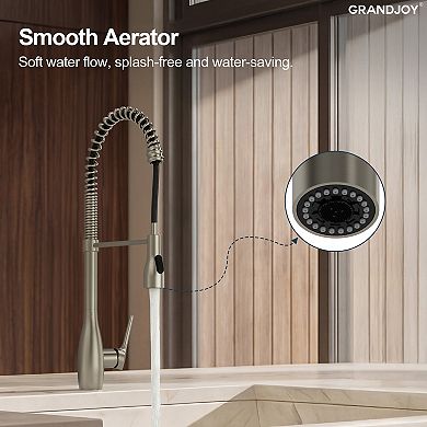 23.7 in. H Pull Down Kitchen Faucet with Sprayer, High Arc Single Hole Sink Faucet 360° Spout Swivel