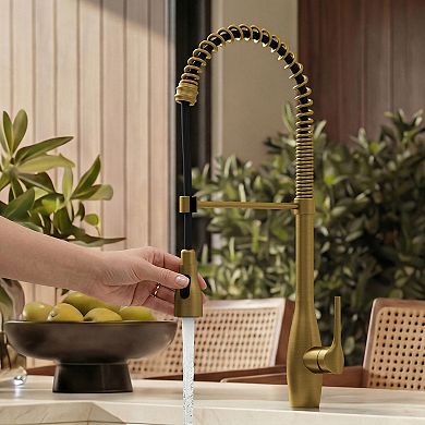 23.7 in. H 2-Spray 360° Spout Swivel Single-​Handle Pull Down Sprayer Kitchen Faucet