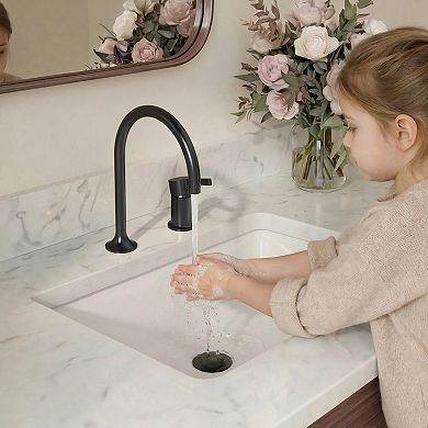 2-Hole Single Handle High-Arc Bathroom Sink Faucet 8in. Widespread Waterfall Flow Spout Pop-Up Drain