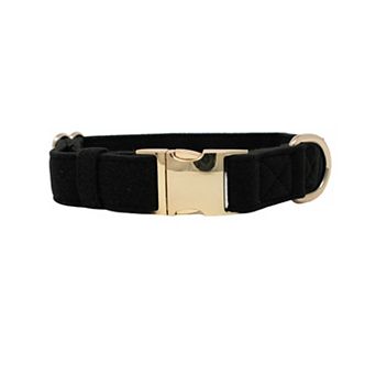 Ryan Dog Collar