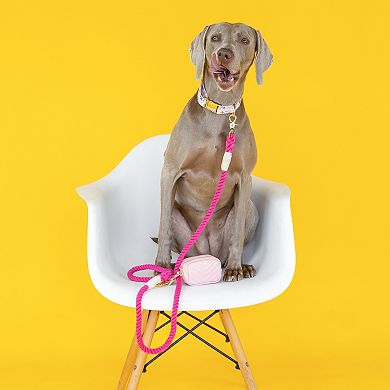 Christine Rope Dog Leash 4ft