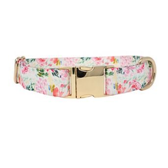 Isabella Dog Collar
