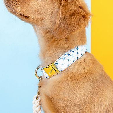 Drew Dog Collar