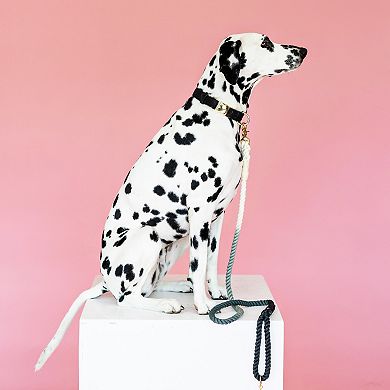 Cairo Rope Dog Leash 4ft
