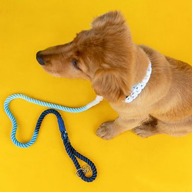 Kennedy Rope Dog Leash 6ft