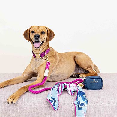 Reagan Waste Bag Holder and Treat Pouch