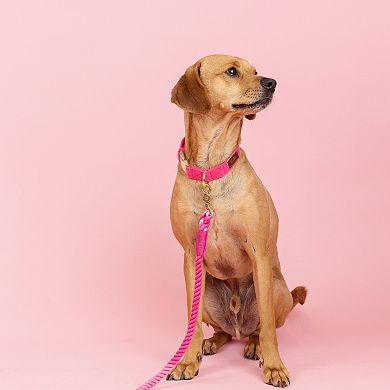 Antoinette Dog Collar