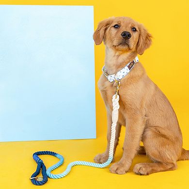 Kennedy Rope Dog Leash 4ft