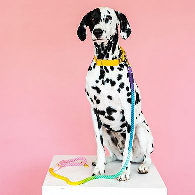 Nola Rope Dog Leash 6ft