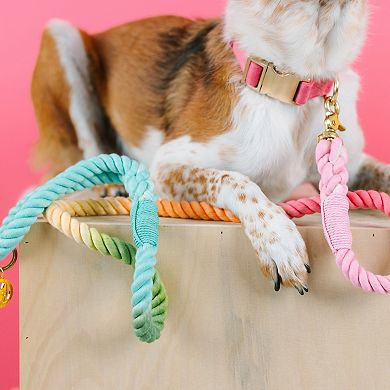 Halston Rope Dog Leash 4ft