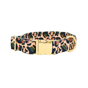 Beckett Dog Collar