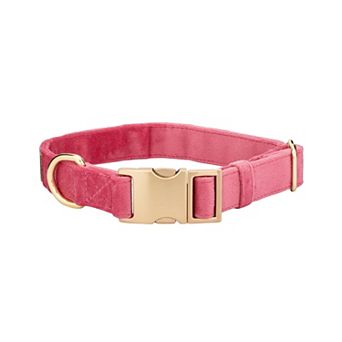 Ella Dog Collar