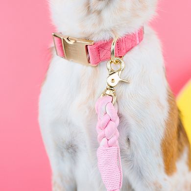 Ella Dog Collar