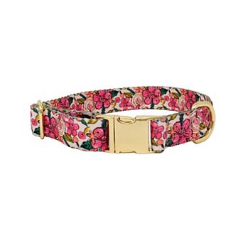 Gianna Dog Collar
