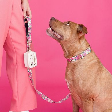 Gianna Dog Collar