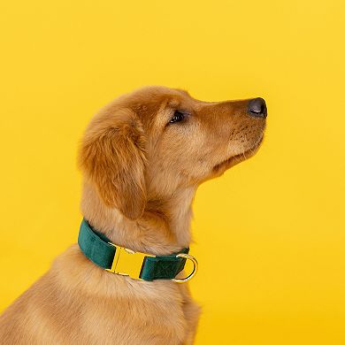 Rue Velvet Dog Collar