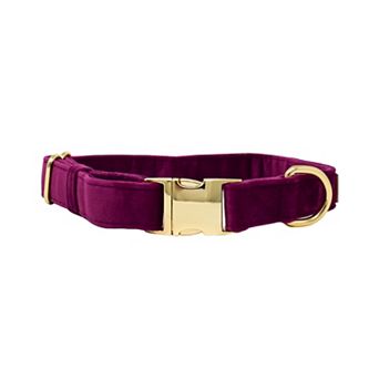 August Dog Collar