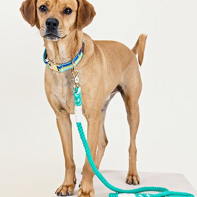 Ariel Rope Dog Leash 6ft