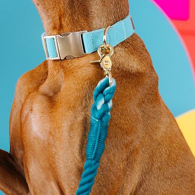 Perry Dog Collar