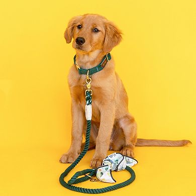 Sam Rope Dog Leash 4ft