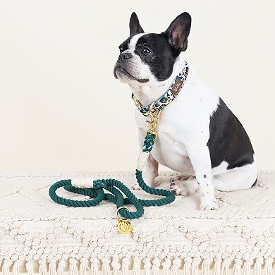 Sam Rope Dog Leash 4ft