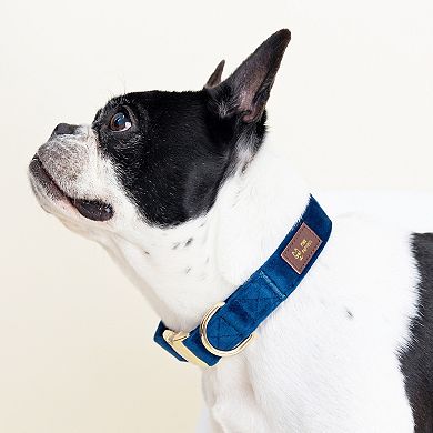 Channing Dog Collar
