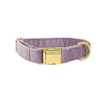 Billie Dog Collar