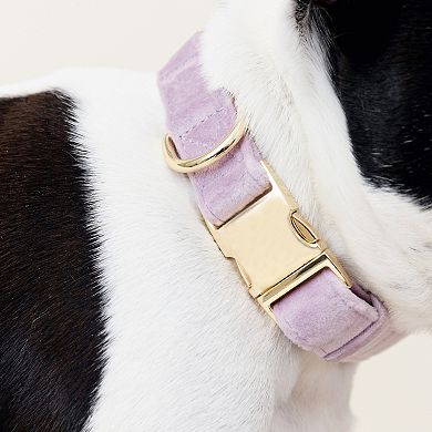 Billie Dog Collar
