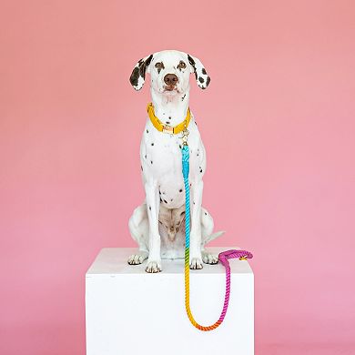 Marley Rope Dog Leash 4ft