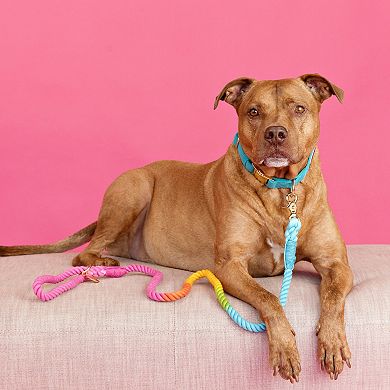 Marley Rope Dog Leash 4ft