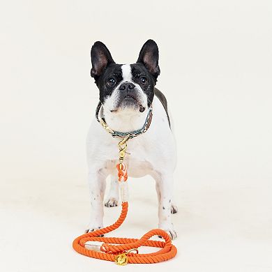 Cora Rope Dog Leash 6ft
