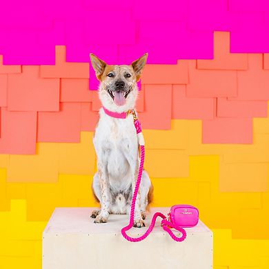 Christine Rope Dog Leash 6ft