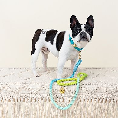 Alexandria Rope Dog Leash 4ft