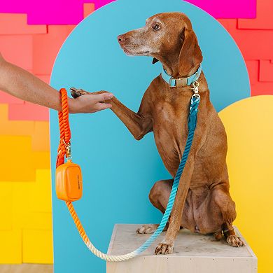Beau Rope Dog Leash 4ft