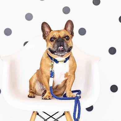 Tatum Rope Dog Leash 6ft