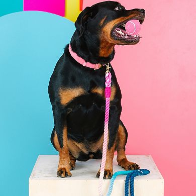 Maddox Rope Dog Leash 6ft