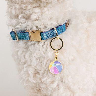 Beach Ball Pet Collar Charm