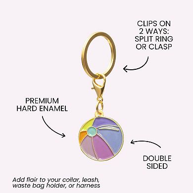 Beach Ball Pet Collar Charm