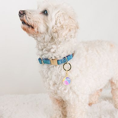 Beach Ball Pet Collar Charm
