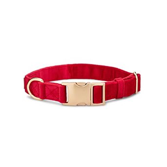 Blaze Dog Collar