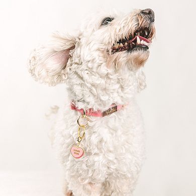 Love You Sweetheart Pet Collar Charm
