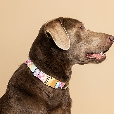 Minka Dog Collar