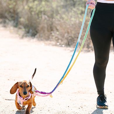 Nola Hands-Free Rope Dog Leash 7ft