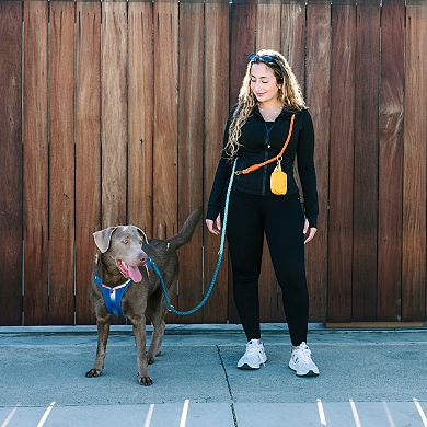 Beau Hands-Free Rope Dog Leash 7ft