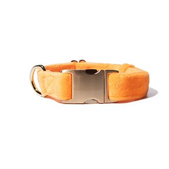 Ezra Dog Collar